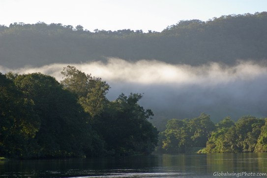 The fog lifts over Daintree river
