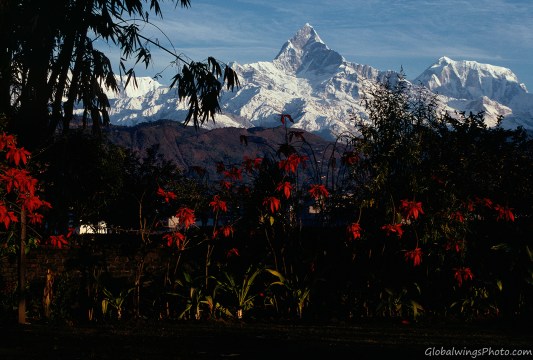 View of the Anapurna Conservation Area from Pokara